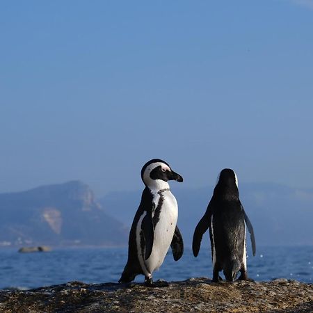 Penguin Haven . Luxury 2 Bedroom, Boulders Beach. Cape Town Dış mekan fotoğraf
