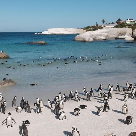 Penguin Haven . Luxury 2 Bedroom, Boulders Beach. Cape Town Dış mekan fotoğraf